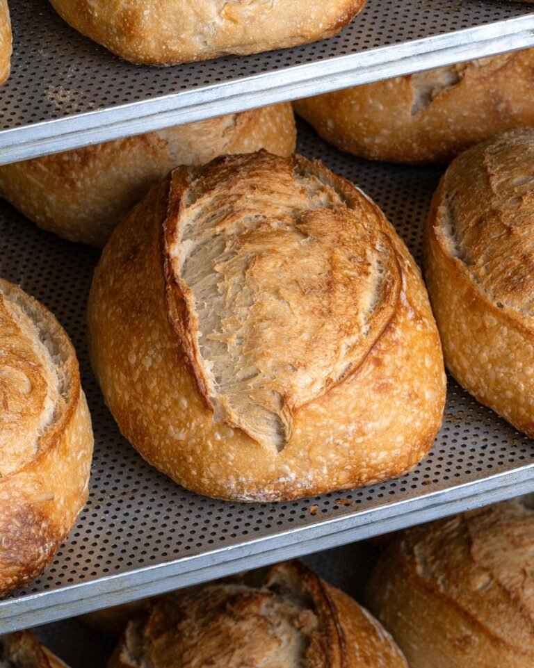 بريدي بيكري